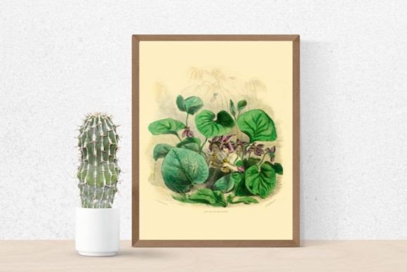 Download Violet Flowers Illustration, Violet - Illustration Collection