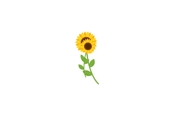 Download Sunflower Field Nature Illustrations - Illustration Collection