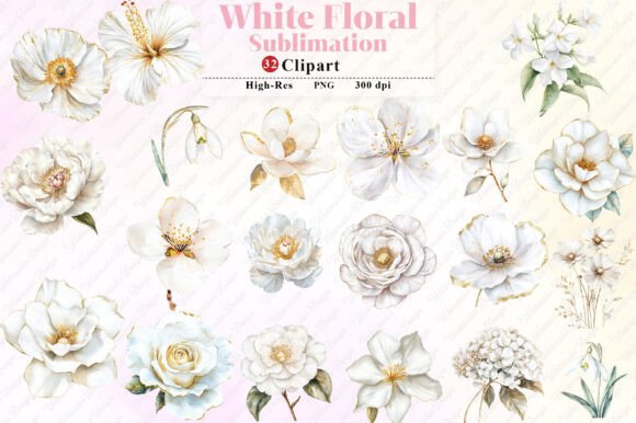 Download Watercolor White Floral Clipart - White floral Collection