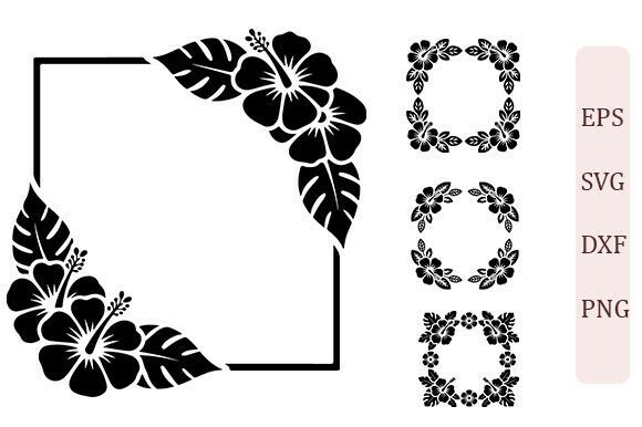 Download Hibiscus Frame SVG PNG Set - Hibiscus Collection