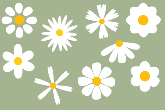 Download Cute Daisy Clipart Illustration - Illustration Collection