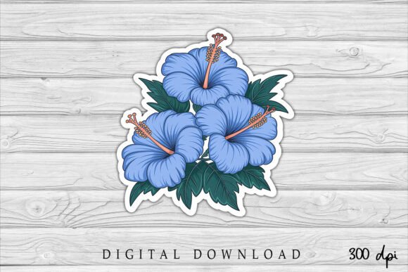 Download Blue Hibiscus Flowers Sticker PNG - Hibiscus Collection