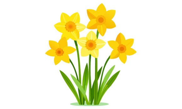 Download Vibrant Illustration of Yellow Daffodils - Illustration Collection