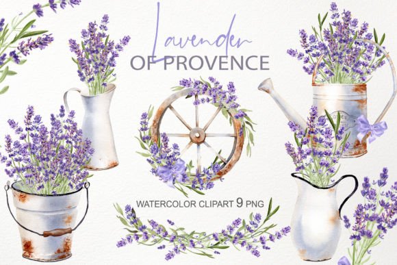 Download Watercolor Lavender Flower Illustration - Illustration Collection