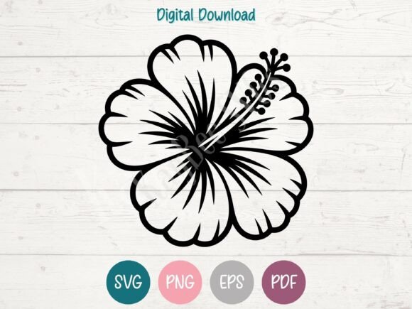 Download Hibiscus Flower SVG PNG EPS PDF Design - Hibiscus Collection