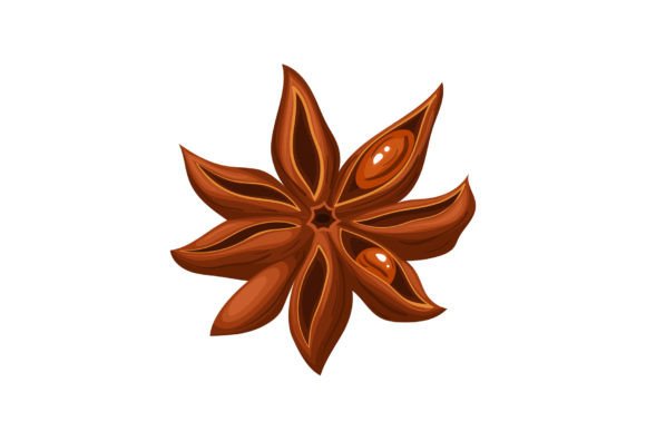 Download Anise Spice Cartoon Vector Illustration - Illustration Collection