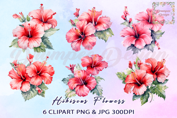 Download Watercolor Beautiful Hibiscus Flowers - Hibiscus Collection