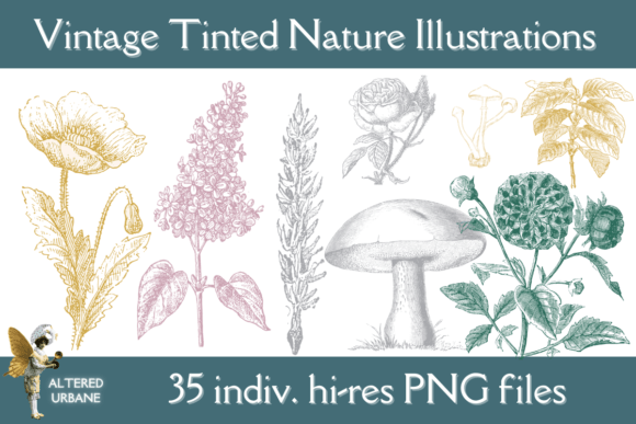 Download Vintage Tinted Nature Illustrations - Illustration Collection