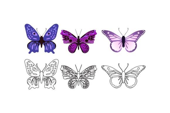 Download Butterfly Nature Illustrations - Illustration Collection