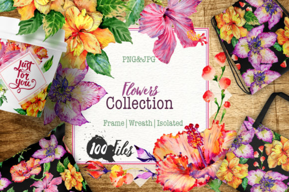 Download Hibiscus Watercolor Flower Set - Hibiscus Collection
