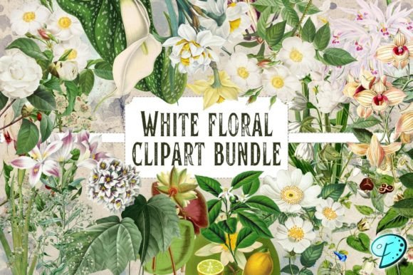 Download White Floral Vintage Clipart Bundle - White floral Collection