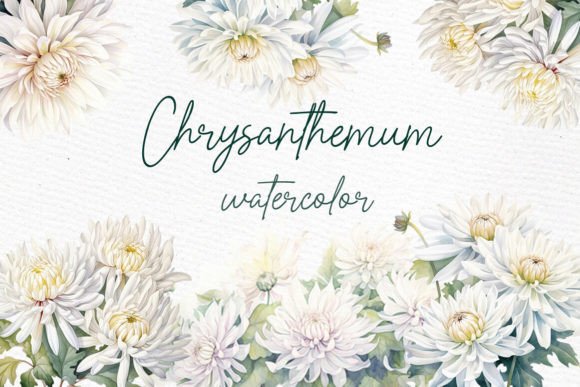 Download White Floral Clipart White Chrysanthemum - White floral Collection