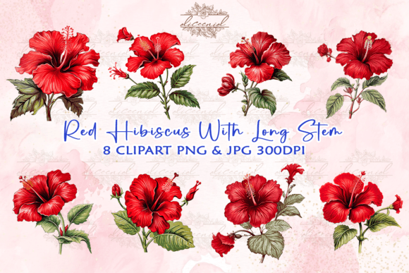 Download Red Hibiscus Watercolor Clipart - Hibiscus Collection
