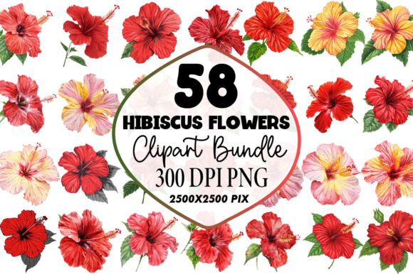 Download Watercolor Hibiscus Flowers Clipart Png - Hibiscus Collection