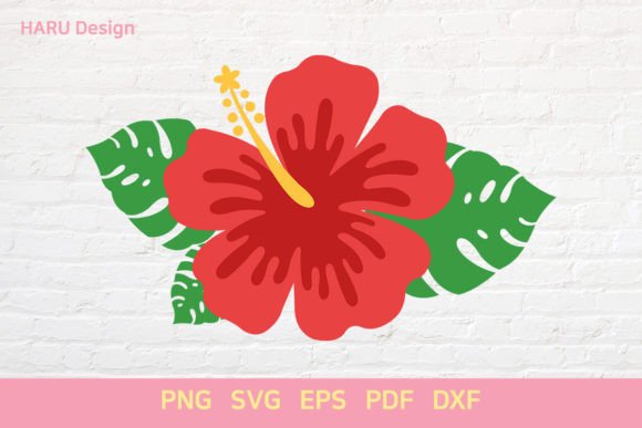 Download Hibiscus - Hibiscus Collection