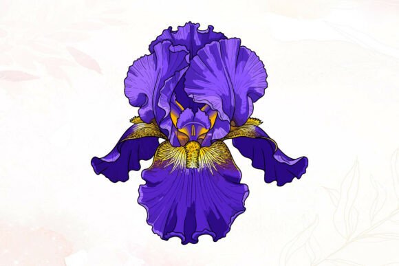 Download Vibrant Purple Iris Flower Illustration - Illustration Collection
